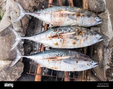 bararawan fish|Palawan is also home to a delicious .